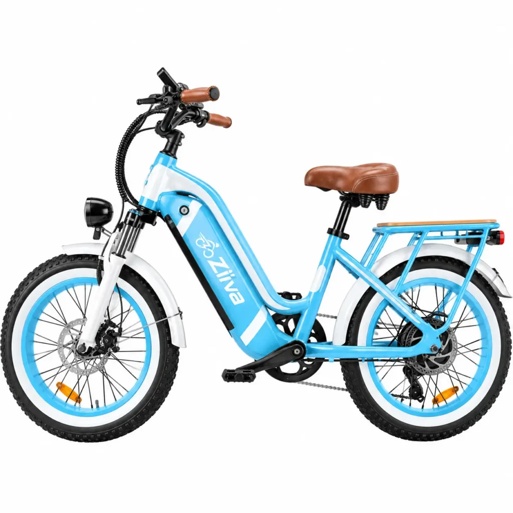 Zilva Comfort Cruiser Electric Bike Safety Compliance Design2